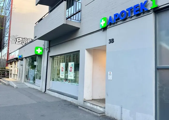 Appartement Chic And Modern - Oslo